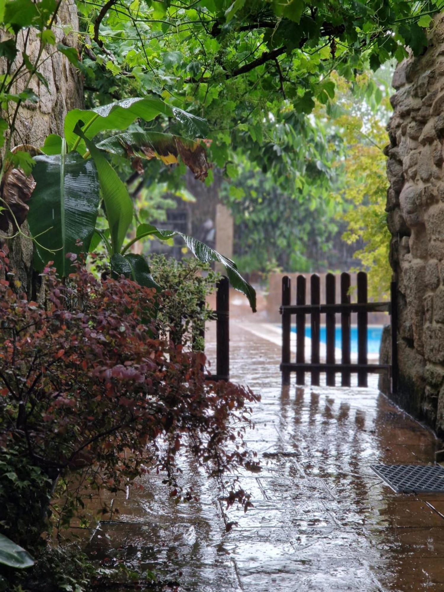 Casa Cristimil -San Amaro Villa Salamonde Екстериор снимка
